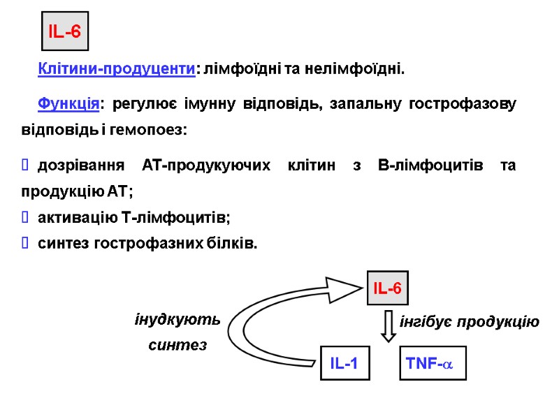 IL-6 Клітини-продуценти: лімфоїдні та нелімфоїдні. Функція: регулює імунну відповідь, запальну гострофазову відповідь і гемопоез: